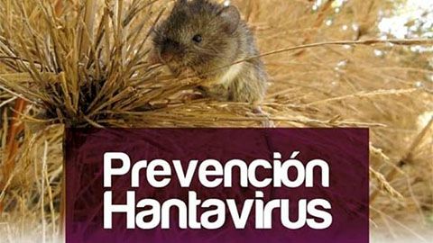 PREVENCION.jpg